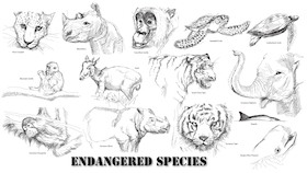 endangeredSpecies